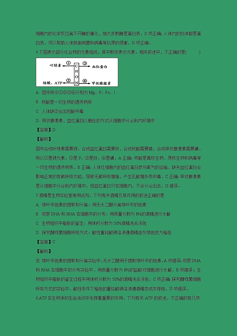 【生物】河南省信阳高级中学2018-2019学年高二上学期期末考试试题 （解析版）03