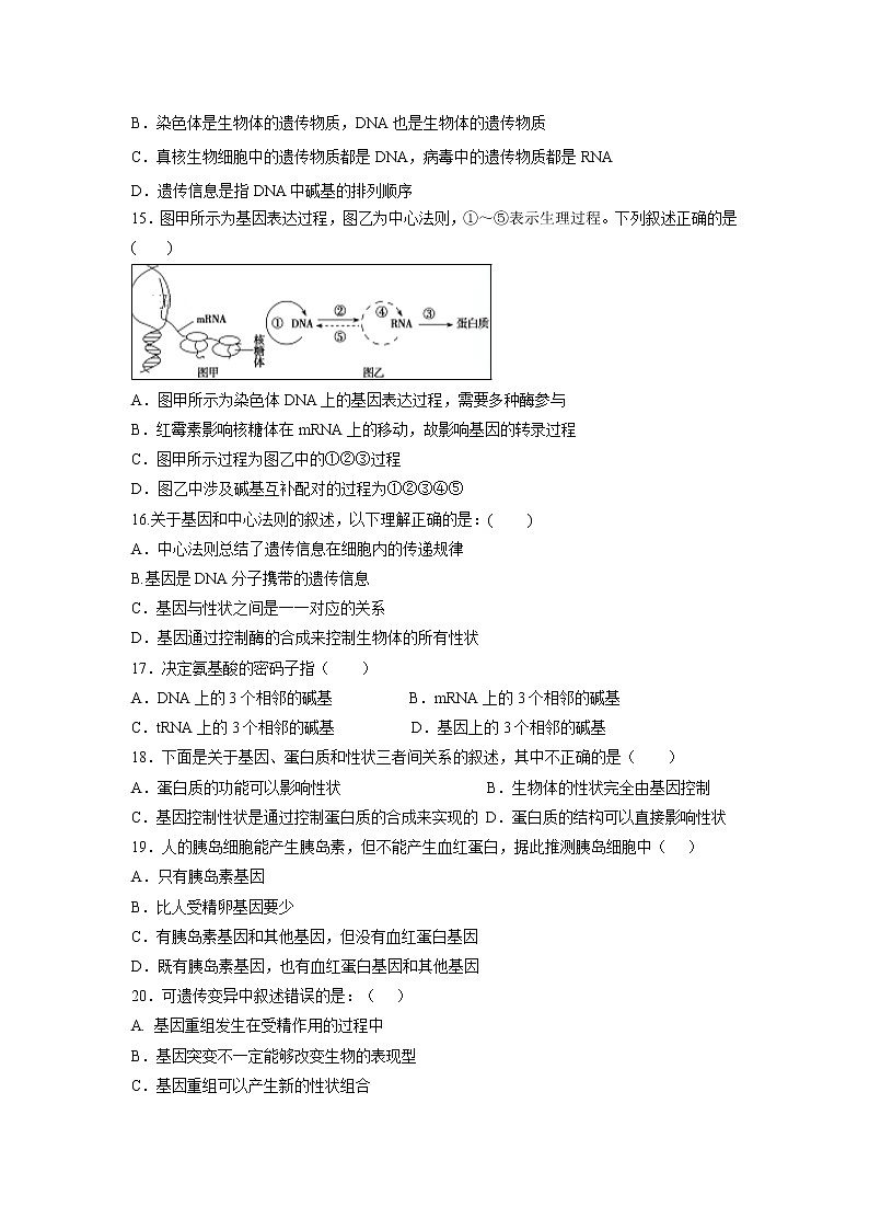 【生物】河南省永城市实验高级中学2018-2019学年高二上学期期末考试试卷03