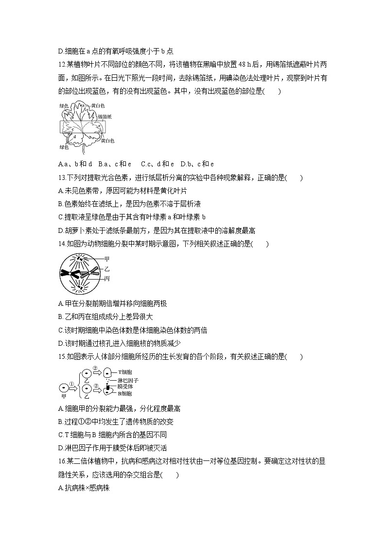 【生物】黑龙江省哈尔滨市第六中学2018-2019学年高二上学期期末考试试题03