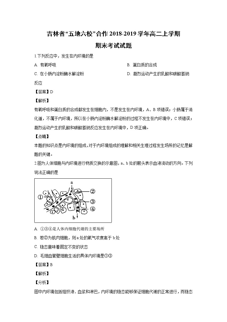 【生物】吉林省“五地六校”合作2018-2019学年高二上学期期末考试试题 （解析版）01