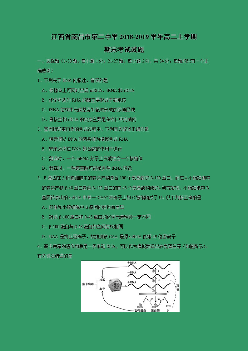 【生物】江西省南昌市第二中学2018-2019学年高二上学期期末考试试题01
