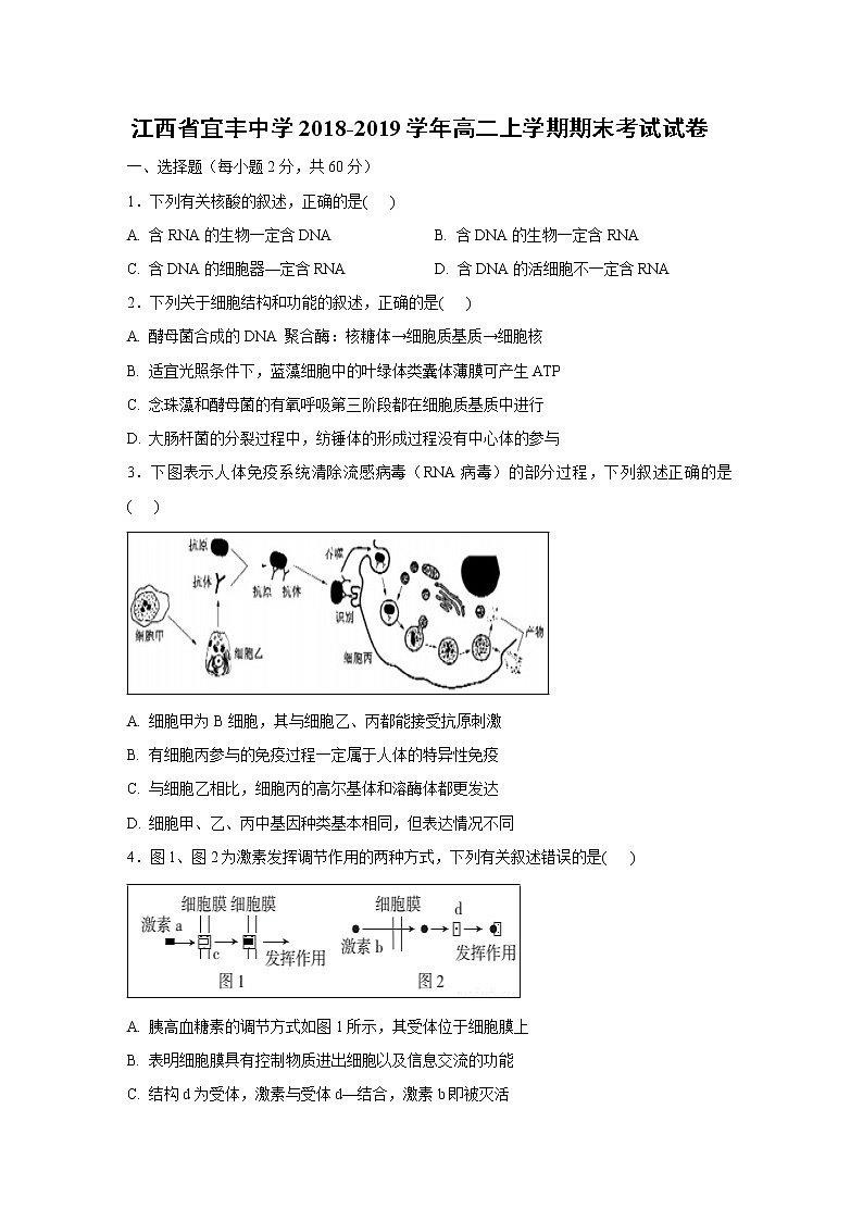 【生物】江西省宜丰中学2018-2019学年高二上学期期末考试试卷01