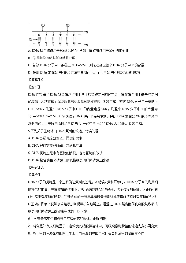 【生物】江西省宜丰中学2018-2019学年高二上学期期末考试试题 （解析版）03