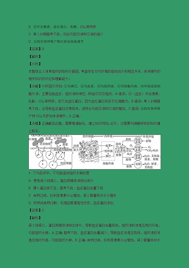 【生物】辽宁省辽河油田第二高级中学2018-2019学年高二上学期期末考试试题 （解析版）02