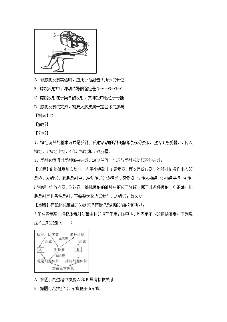 【生物】辽宁省沈阳市郊联体2018-2019学年高二上学期期末考试试题 （解析版）第2页