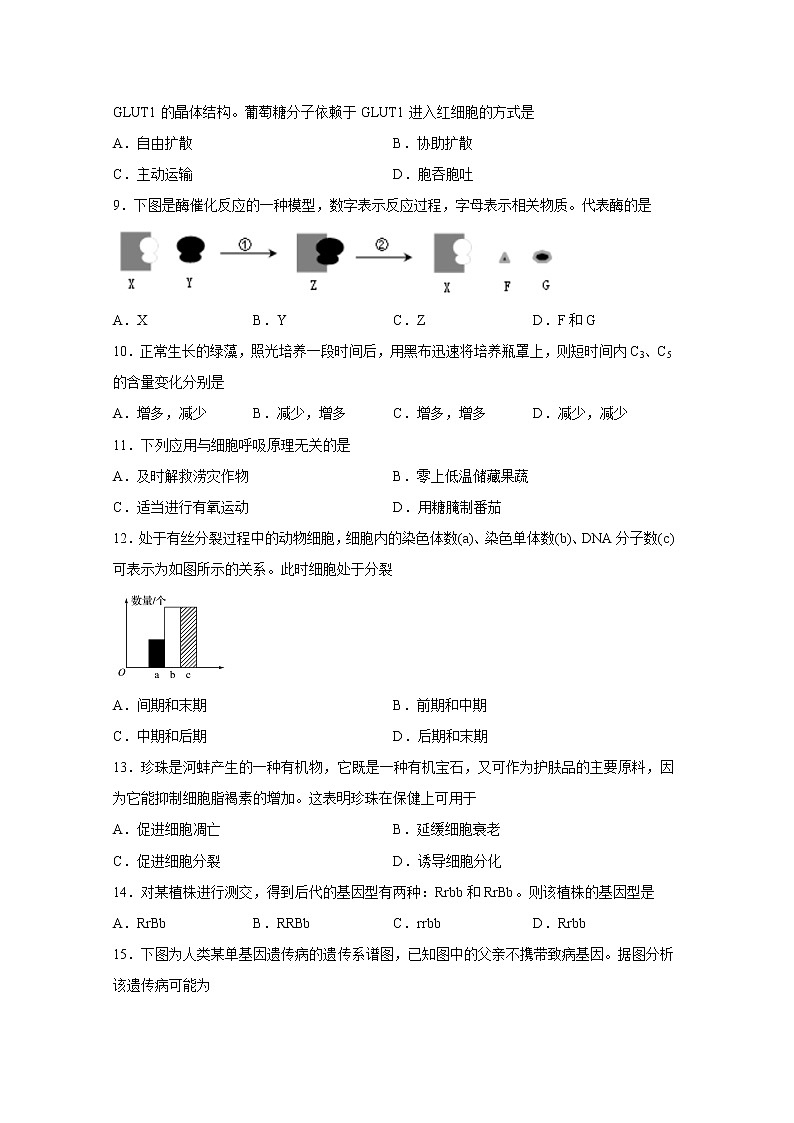 【生物】江苏省南通市第一中学2018-2019学年高二上学期期末教学质量调研试卷第2页