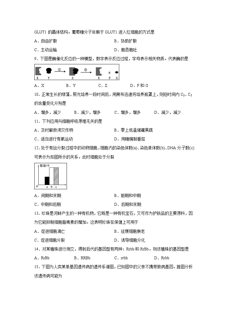 【生物】江苏省南通第一中学2018-2019学年高二上学期期末教学质量调研（必修）试题02