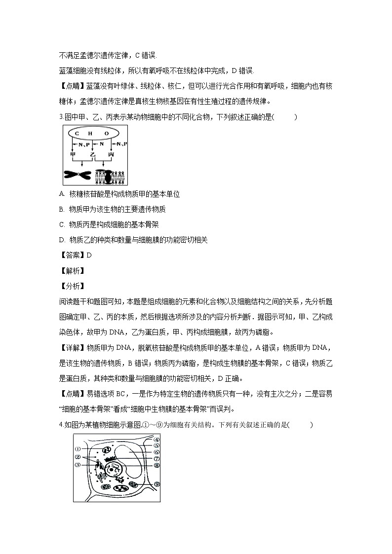 【生物】江西省奉新县第一中学2018-2019学年高二上学期期末考试试题 （解析版）02
