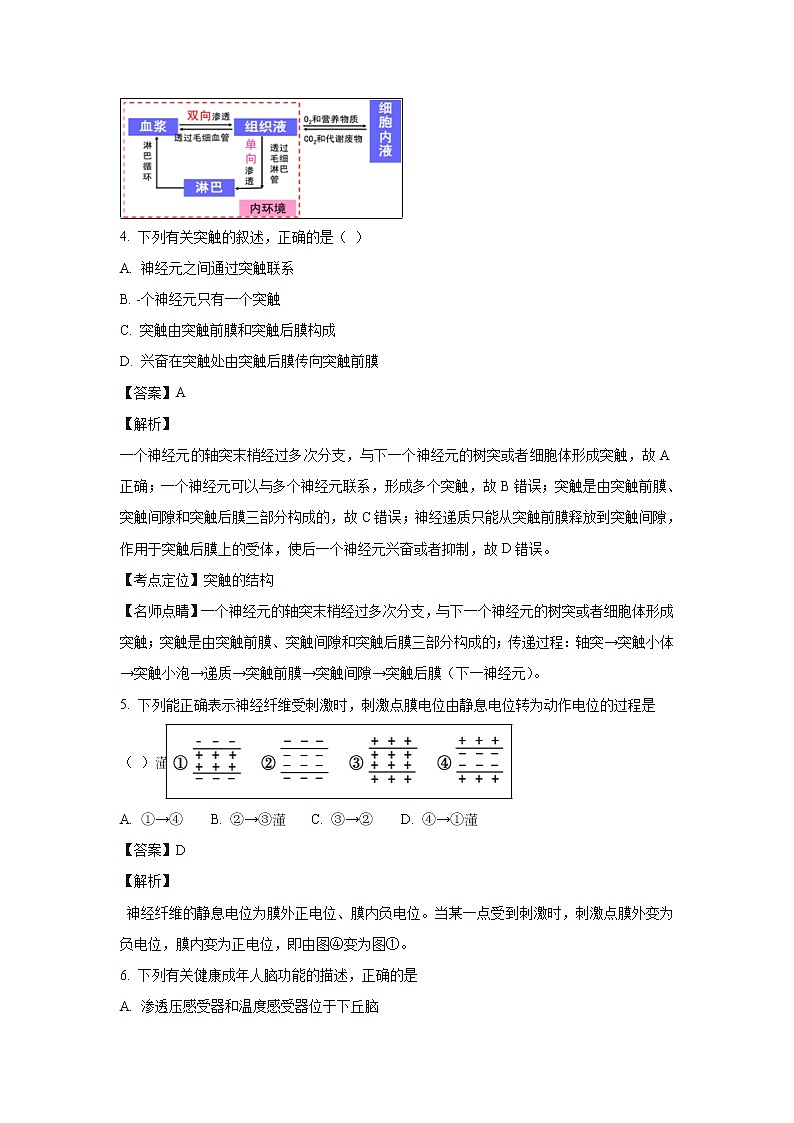 【生物】内蒙古鄂尔多斯西部四旗2018-2019学年高二上学期期末联考试卷（解析版）03