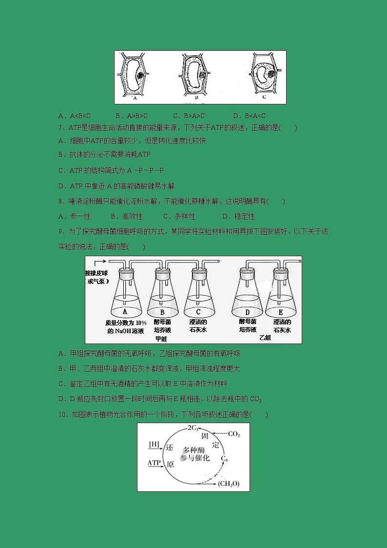 【生物】陕西省西安中学2018-2019学年高二（文科班）上学期期末考试试卷第2页