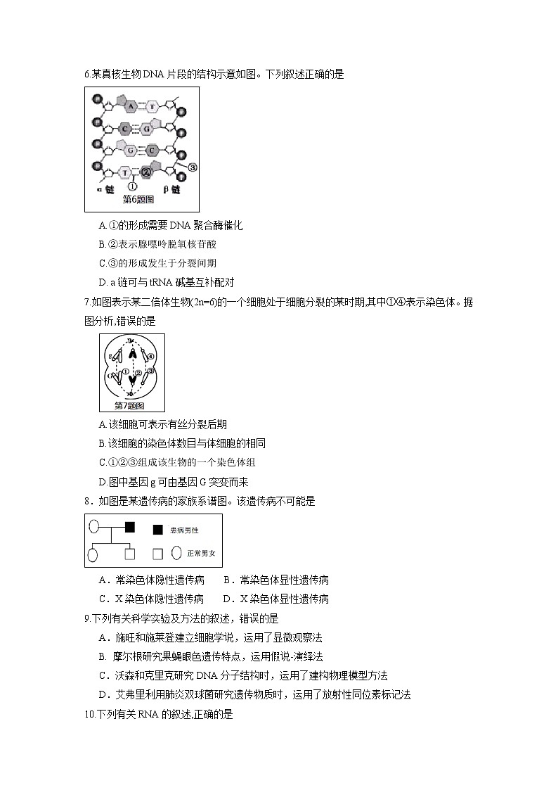 【生物】福建省泉州市泉港区第一中学2018-2019学年高二上学期期末考试02