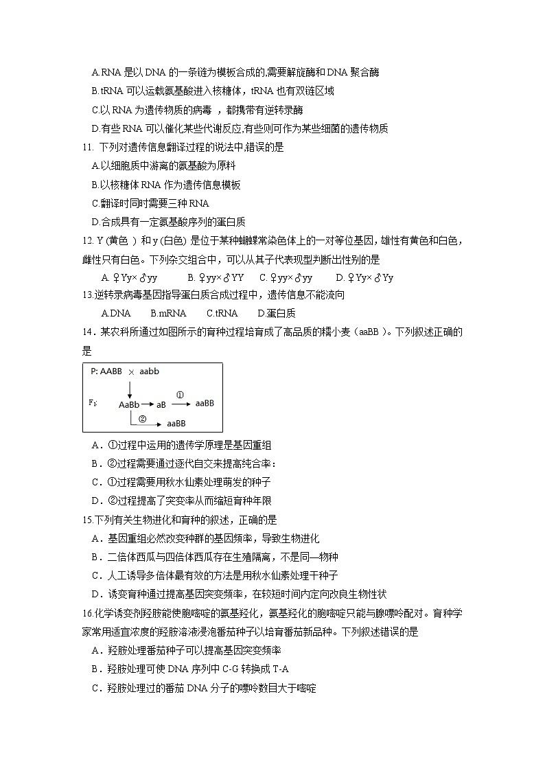 【生物】福建省泉州市泉港区第一中学2018-2019学年高二上学期期末考试03