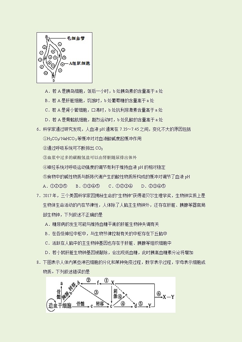 【生物】安徽省黄山市2018-2019学年高二上学期期末考试试题第2页