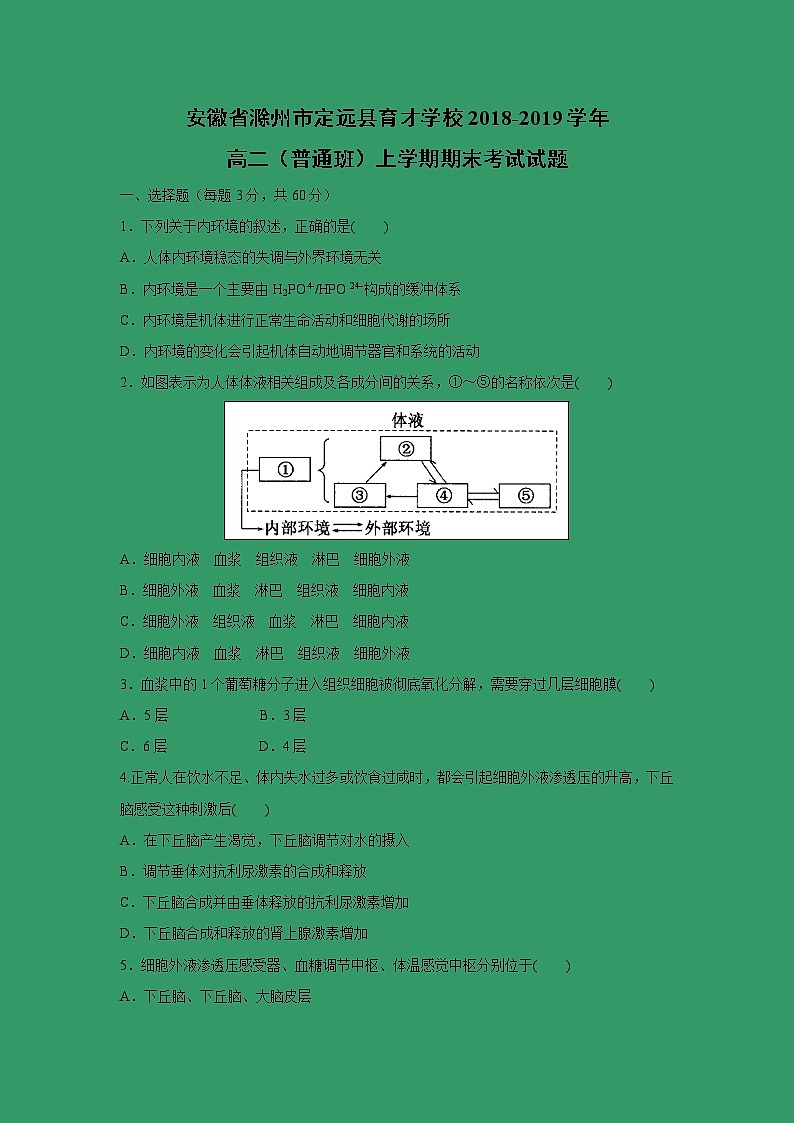 【生物】安徽省滁州市定远县育才学校2018-2019学年高二（普通班）上学期期末考试试题01