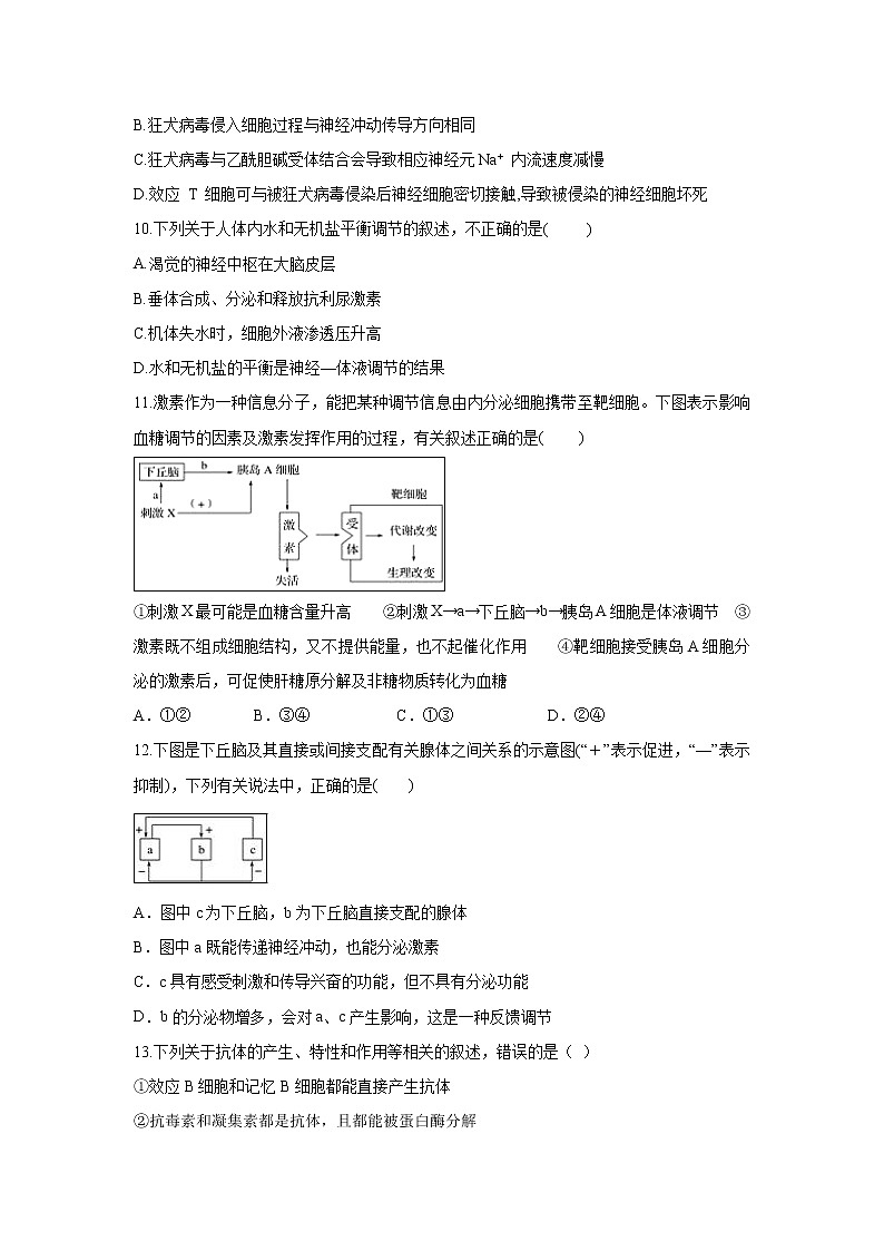 【生物】安徽省宿州市十三所重点中学2018-2019学年高二上学期期末质量检测生物（理）试题第3页