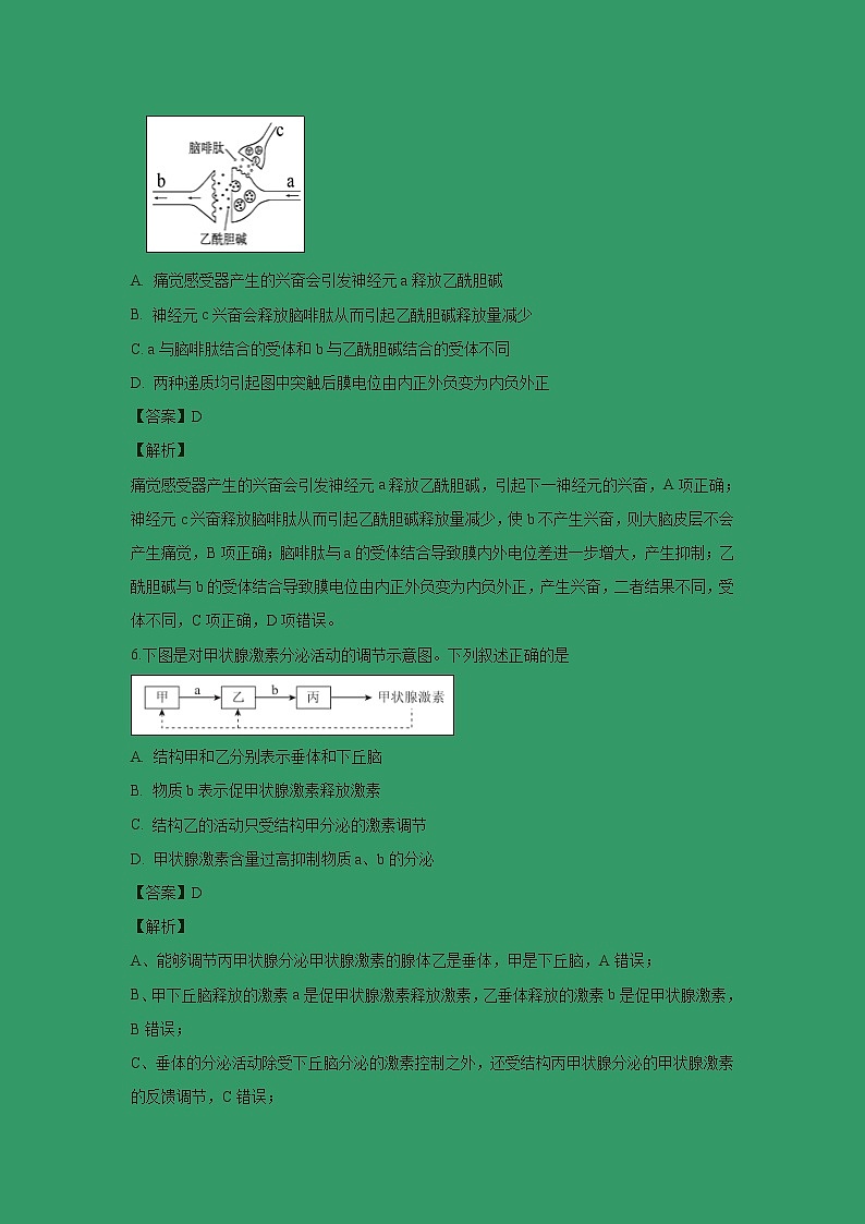 【生物】北京市东城区2018-2019学年高二上学期期末考试试卷 （解析版）03