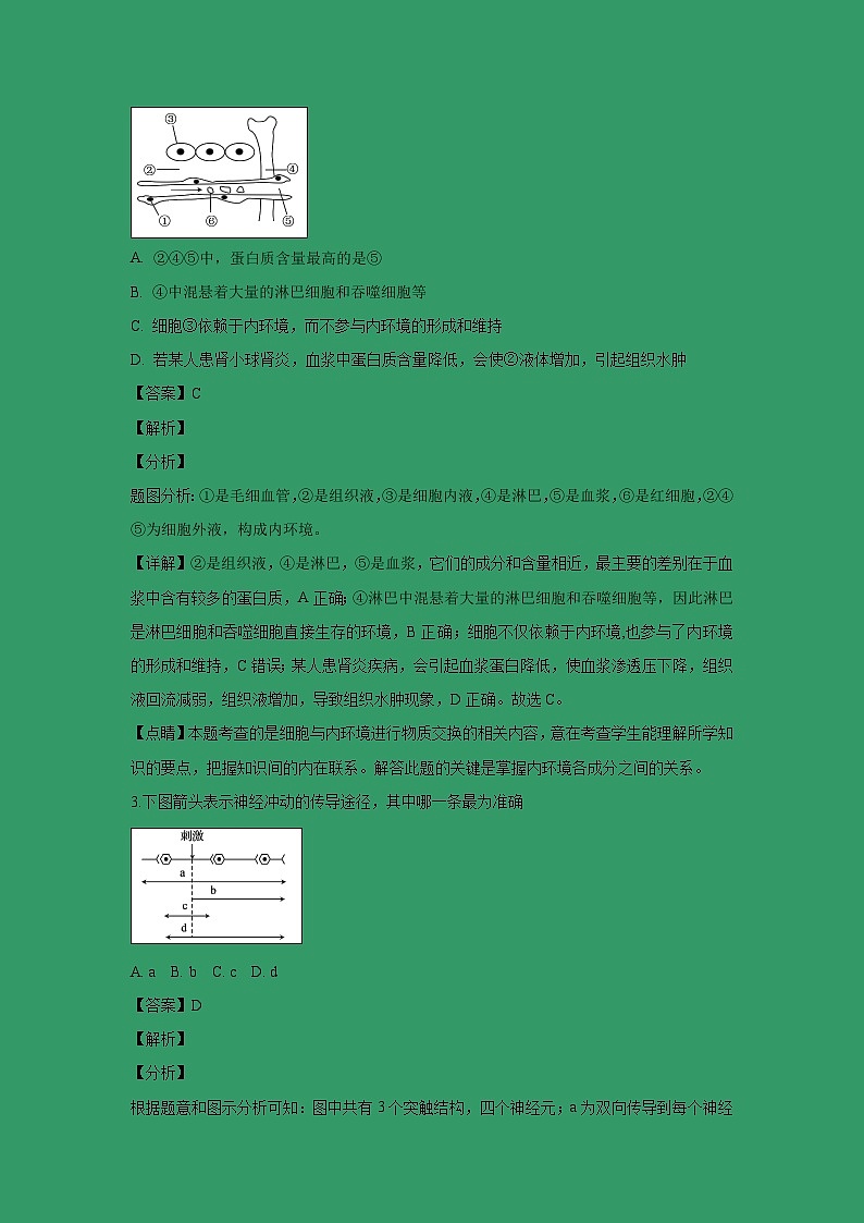 【生物】安徽省宣城市八校2018-2019学年高二上学期期末联考试题 (解析版)02