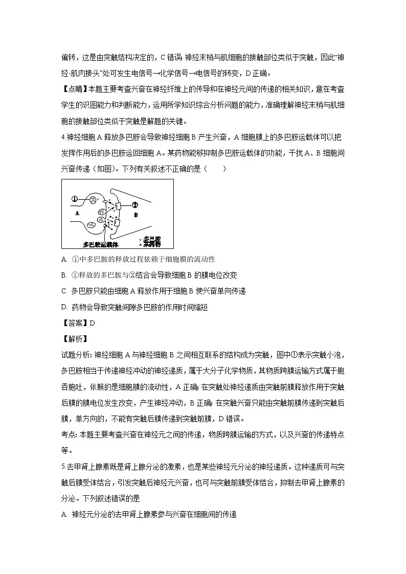 【生物】北京市丰台区2018-2019学年高二上学期期末考试试卷 （解析版）第3页