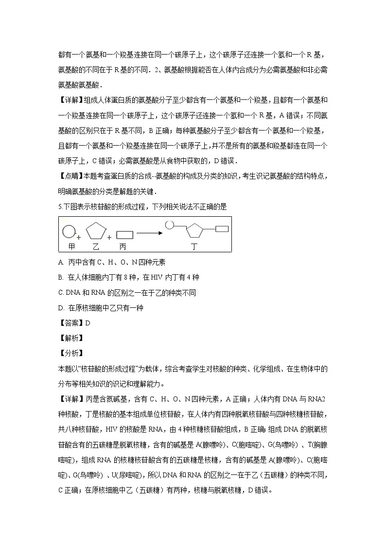 【生物】甘肃省白银市靖远县2018-2019学年高二上学期期末考试试卷 （解析版）03