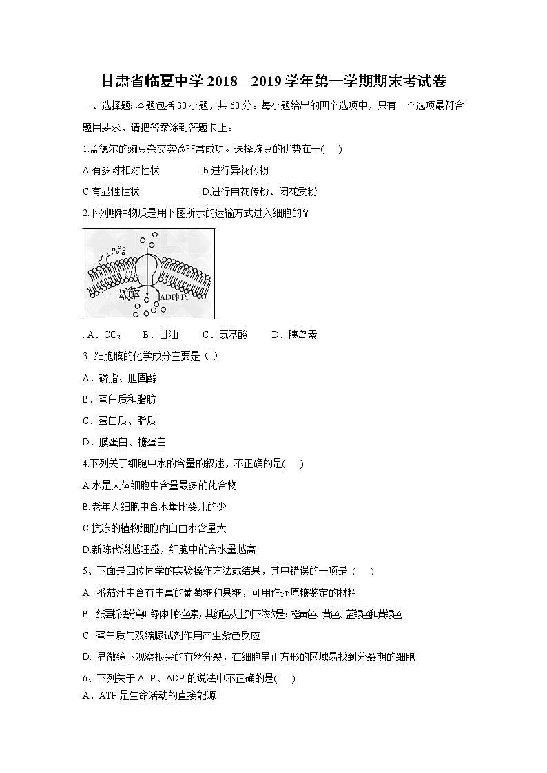 【生物】甘肃省临夏中学2018-2019学年高二上学期期末考试（文）试题01
