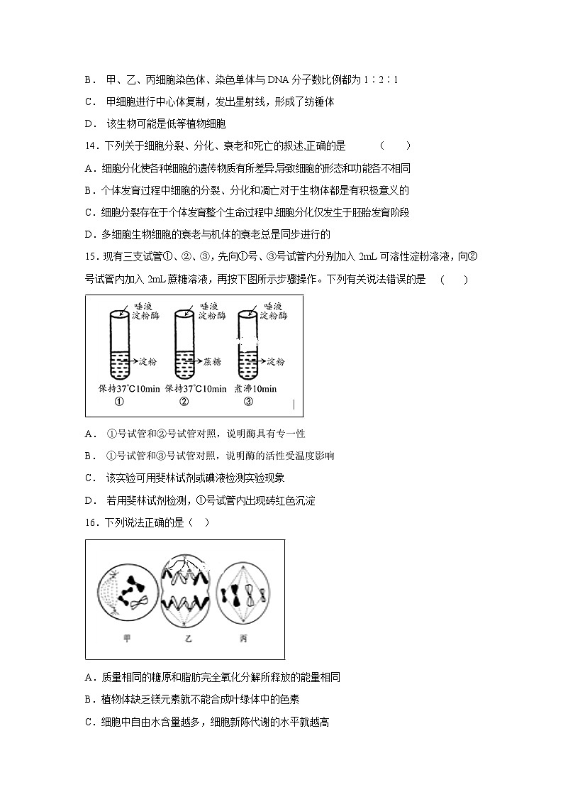 【生物】甘肃省宁县2018-2019学年高二上学期期末联考试卷第3页