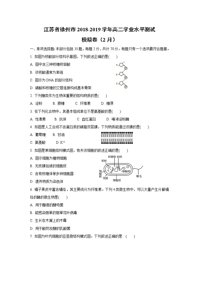【生物】甘肃省天水一中2018-2019学年高二上学期期末考试（文）试卷（解析版）01