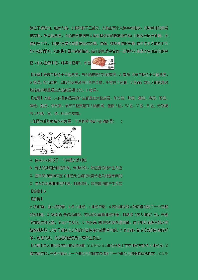 【生物】广西南宁市第三中学2018-2019学年高二上学期期末考试理科（解析版）02