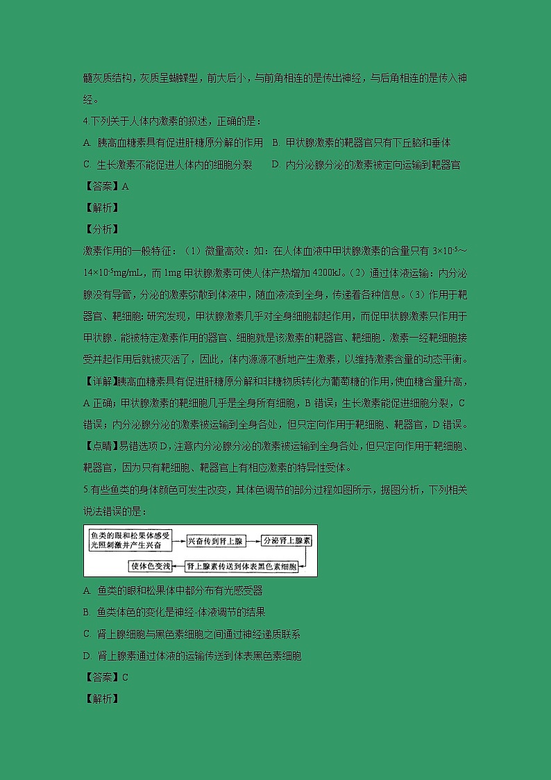 【生物】广西南宁市第三中学2018-2019学年高二上学期期末考试理科（解析版）03