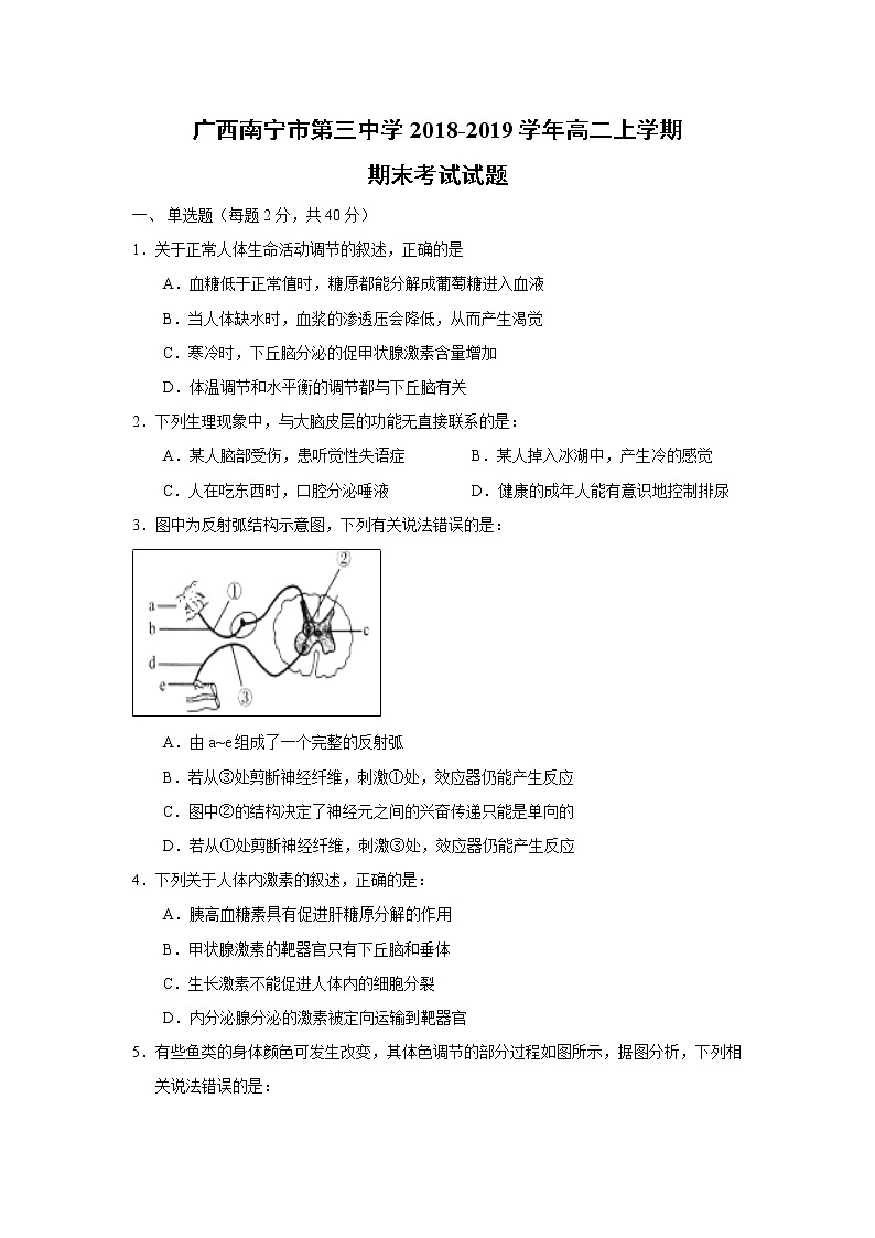 【生物】广西南宁市第三中学2018-2019学年高二上学期期末考试试题01
