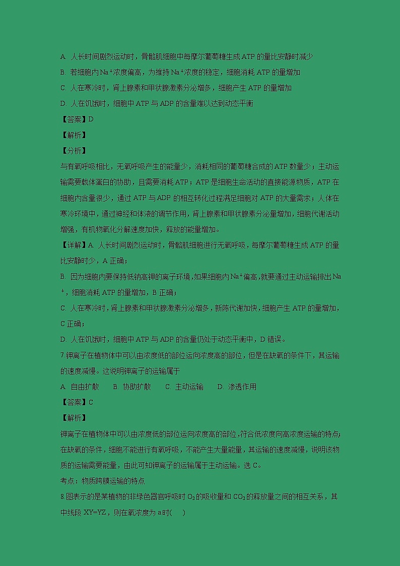 【生物】贵州省麻江县一中2018-2019学年高二上学期期末考试试题 （解析版）03