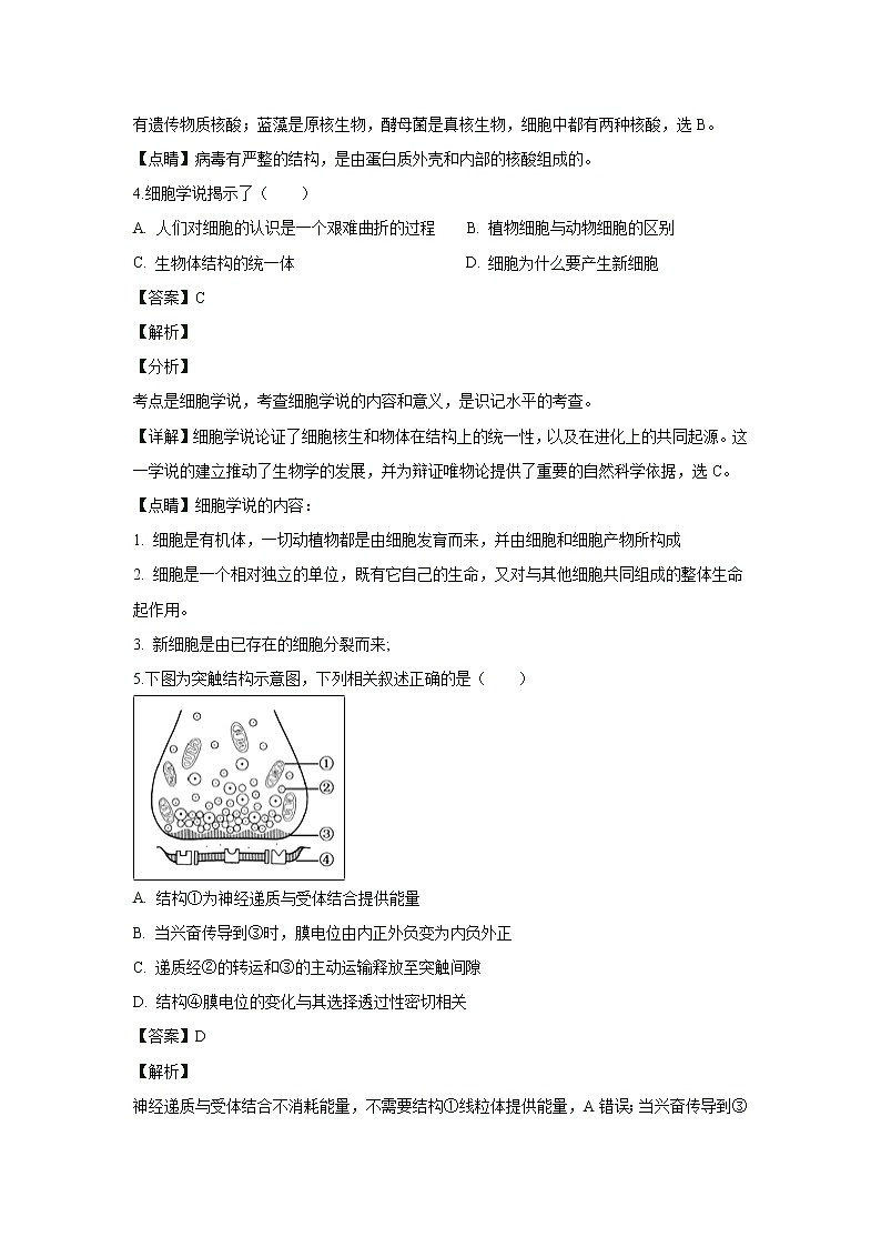【生物】河北省武邑中学2018-2019学年高二上学期期末考试试卷 （解析版）02