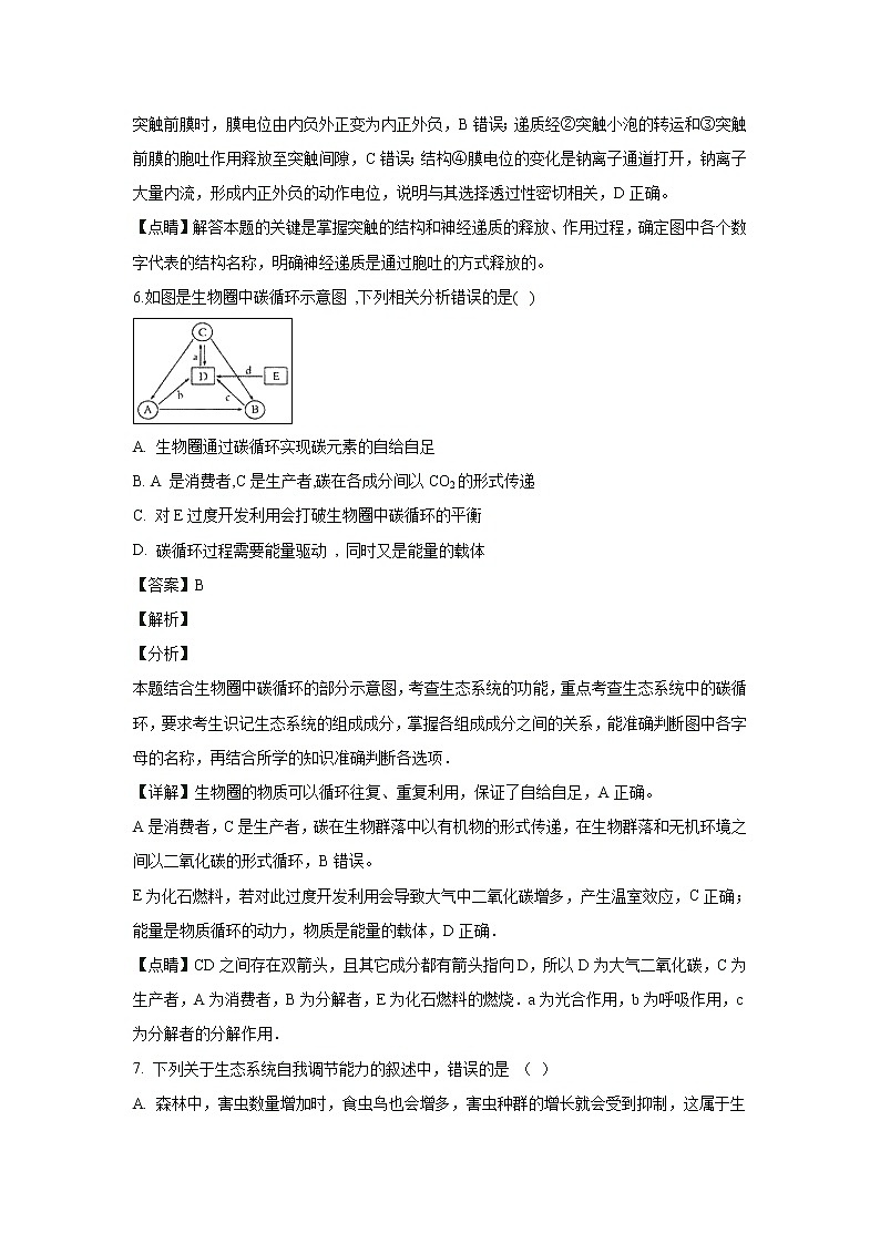 【生物】河北省武邑中学2018-2019学年高二上学期期末考试试卷 （解析版）03