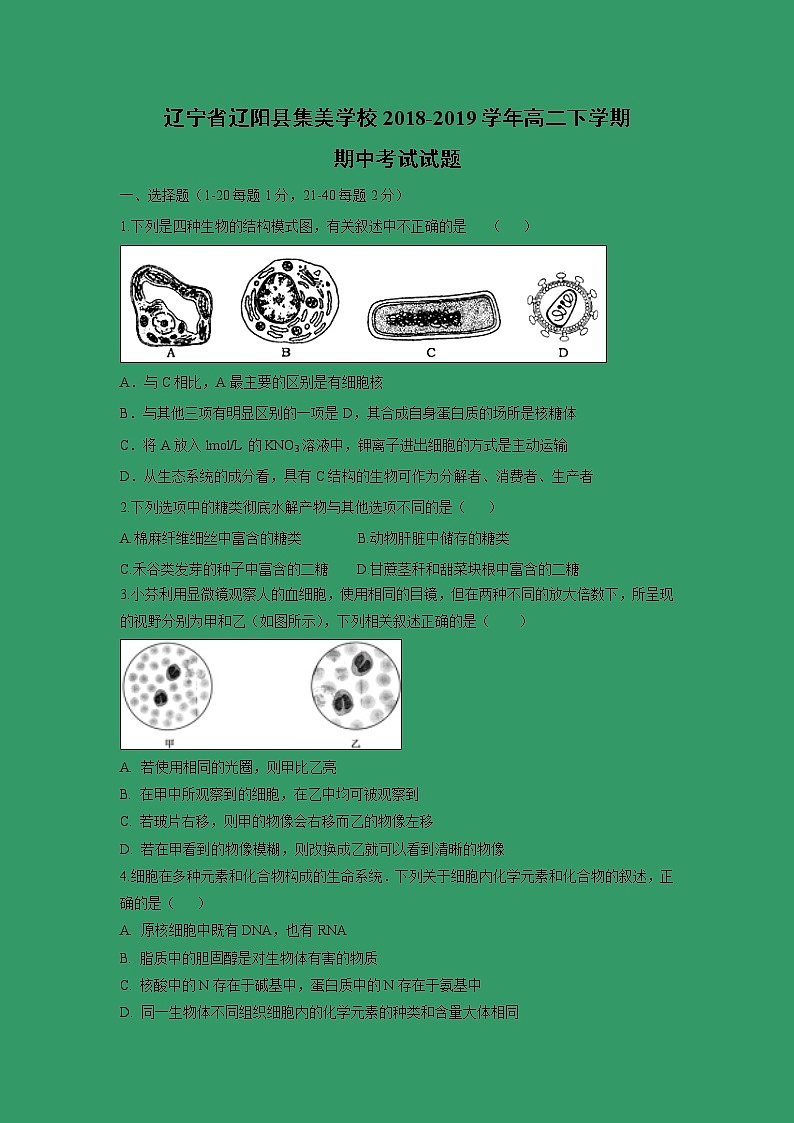 【生物】辽宁省辽阳县集美学校2018-2019学年高二下学期期中考试试题01