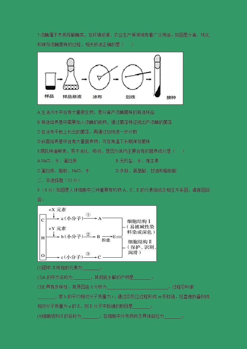 【生物】四川省棠湖中学2018-2019学年高二下学期期中考试试题02