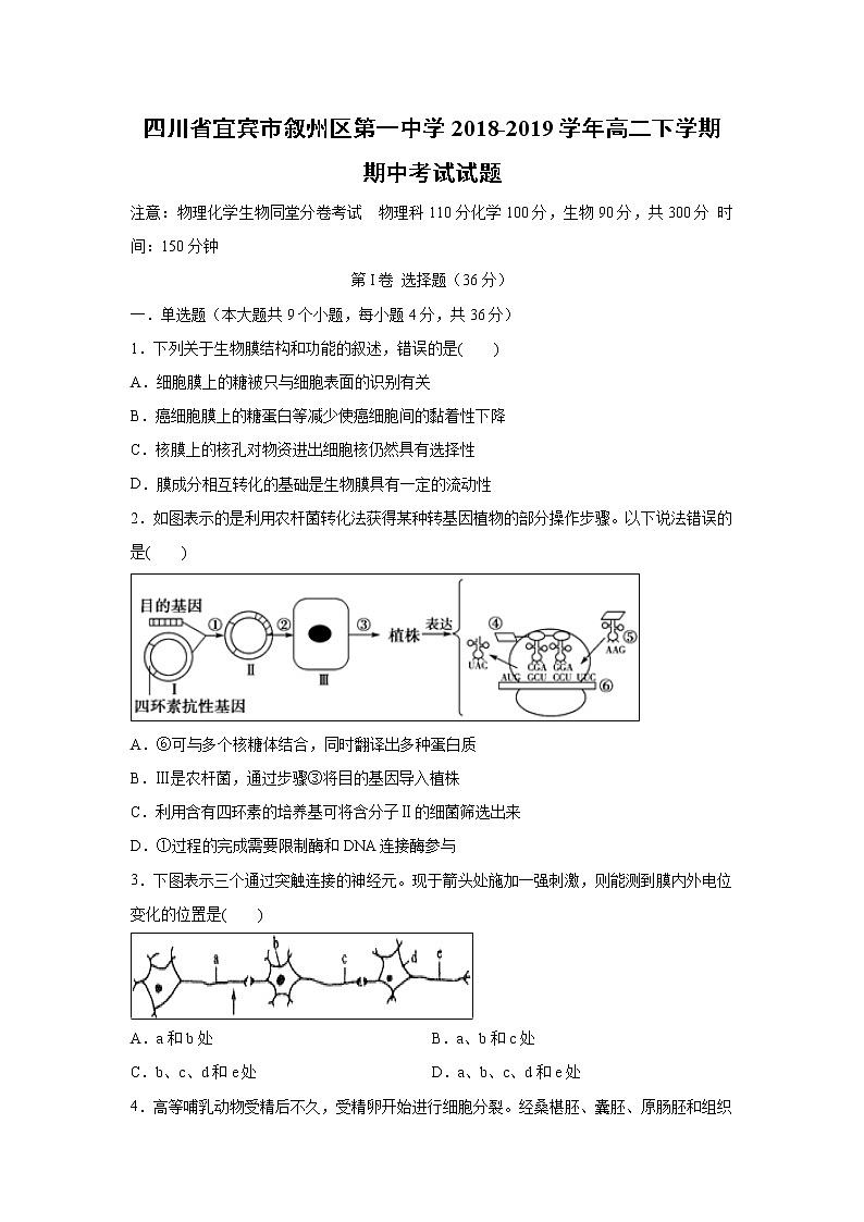【生物】四川省宜宾市叙州区第一中学2018-2019学年高二下学期期中考试试题01
