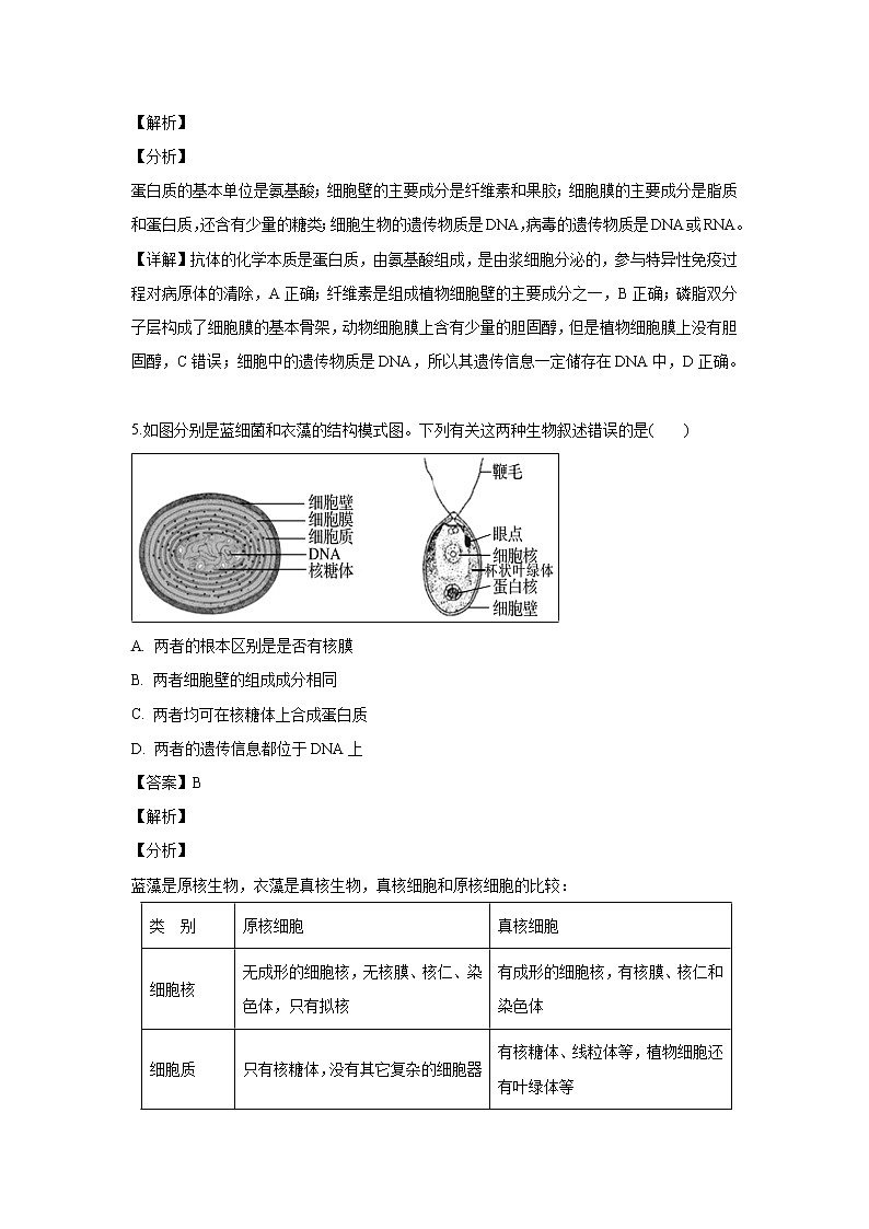 【生物】浙江省金华市山河联盟2018-2019学年高二下学期期中考试试题 （解析版）03