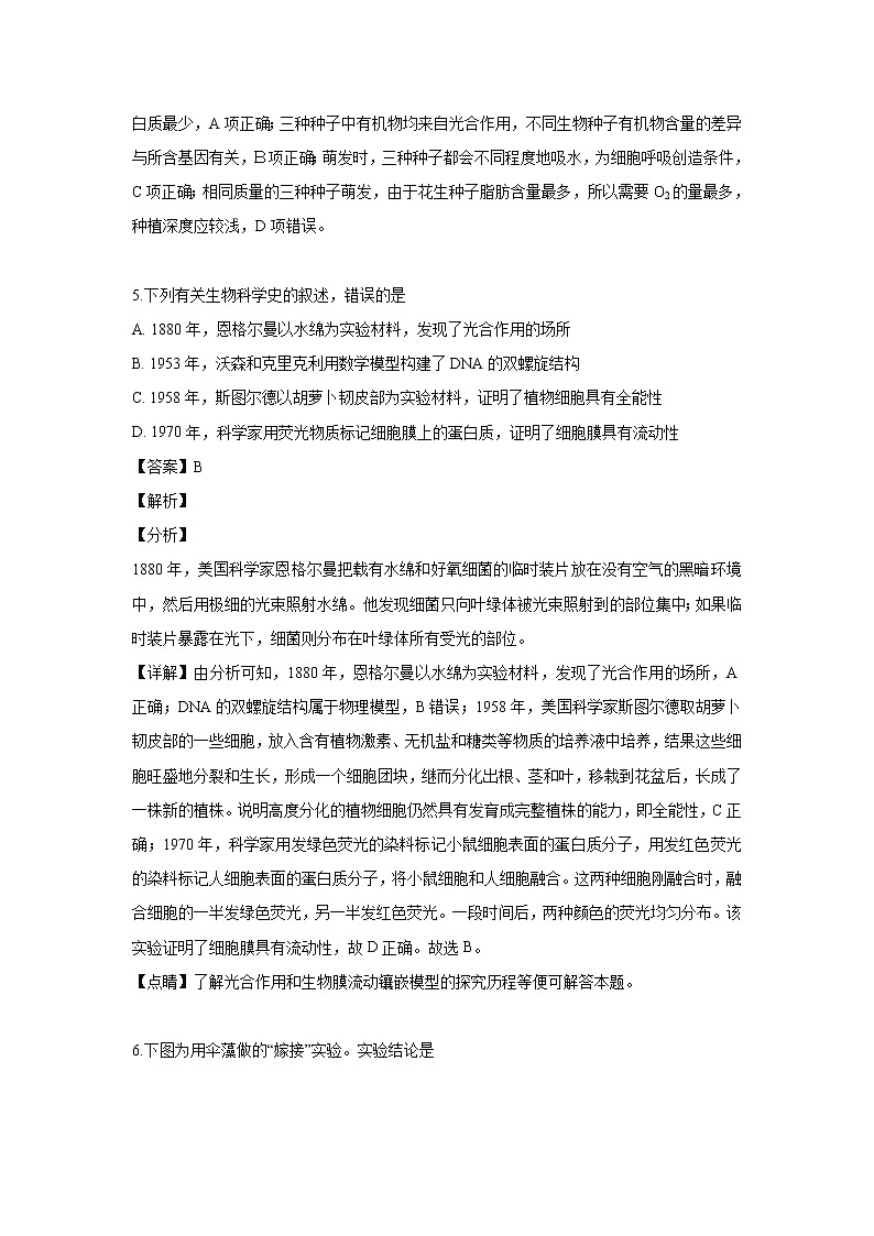 【生物】云南省昆明市官渡区一中2018-2019学年高二下学期期中考试试卷（解析版）03