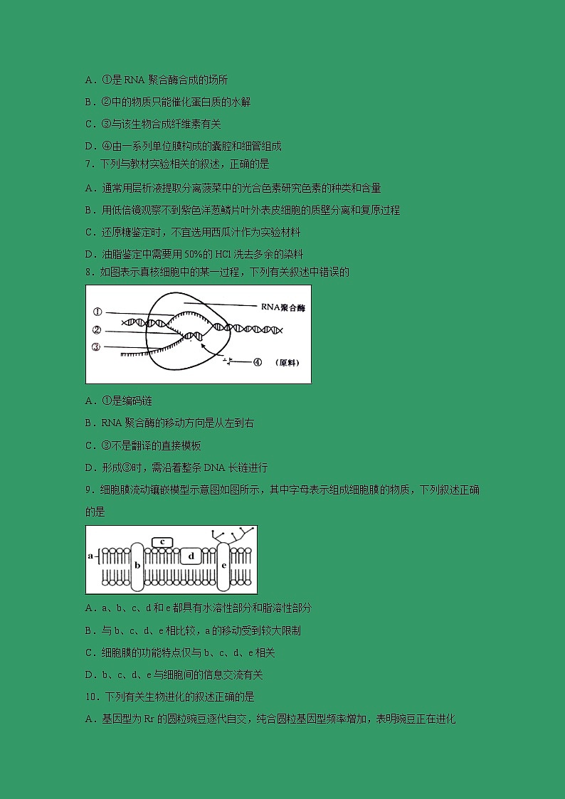 【生物】浙江省宁波市北仑中学2018-2019学年高二下学期期中考试试题第2页