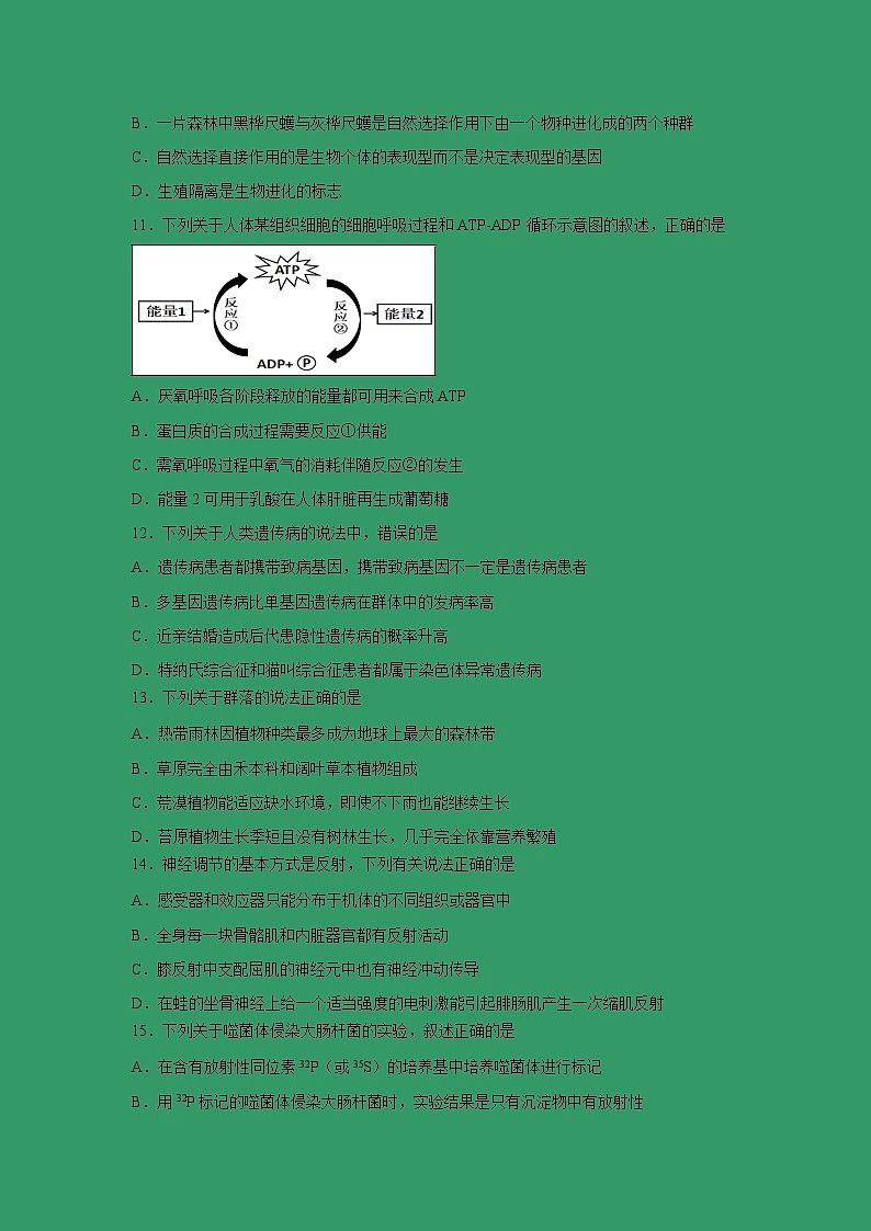 【生物】浙江省宁波市北仑中学2018-2019学年高二下学期期中考试试题第3页