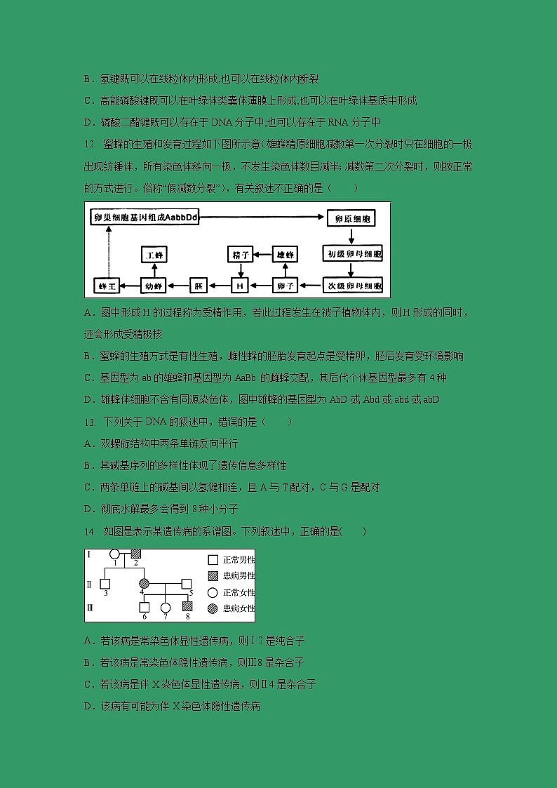 【生物】重庆市凤鸣山中学2018-2019学年高二下学期期中考试试题03