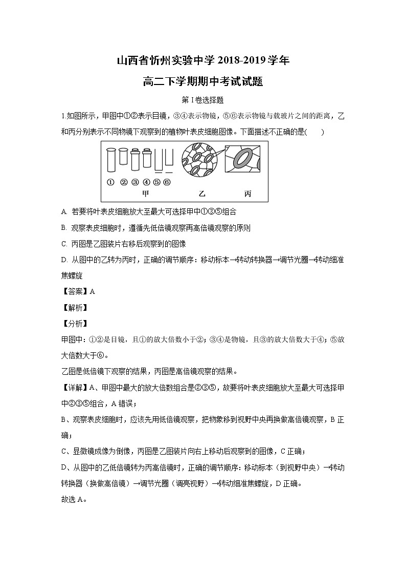 【生物】山西省忻州实验中学2018-2019学年高二下学期期中考试试题（解析版）01