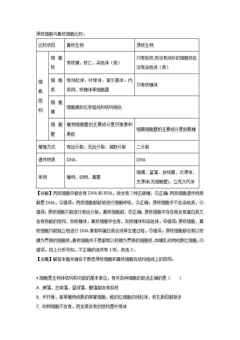 【生物】山西省忻州实验中学2018-2019学年高二下学期期中考试试题（解析版）03
