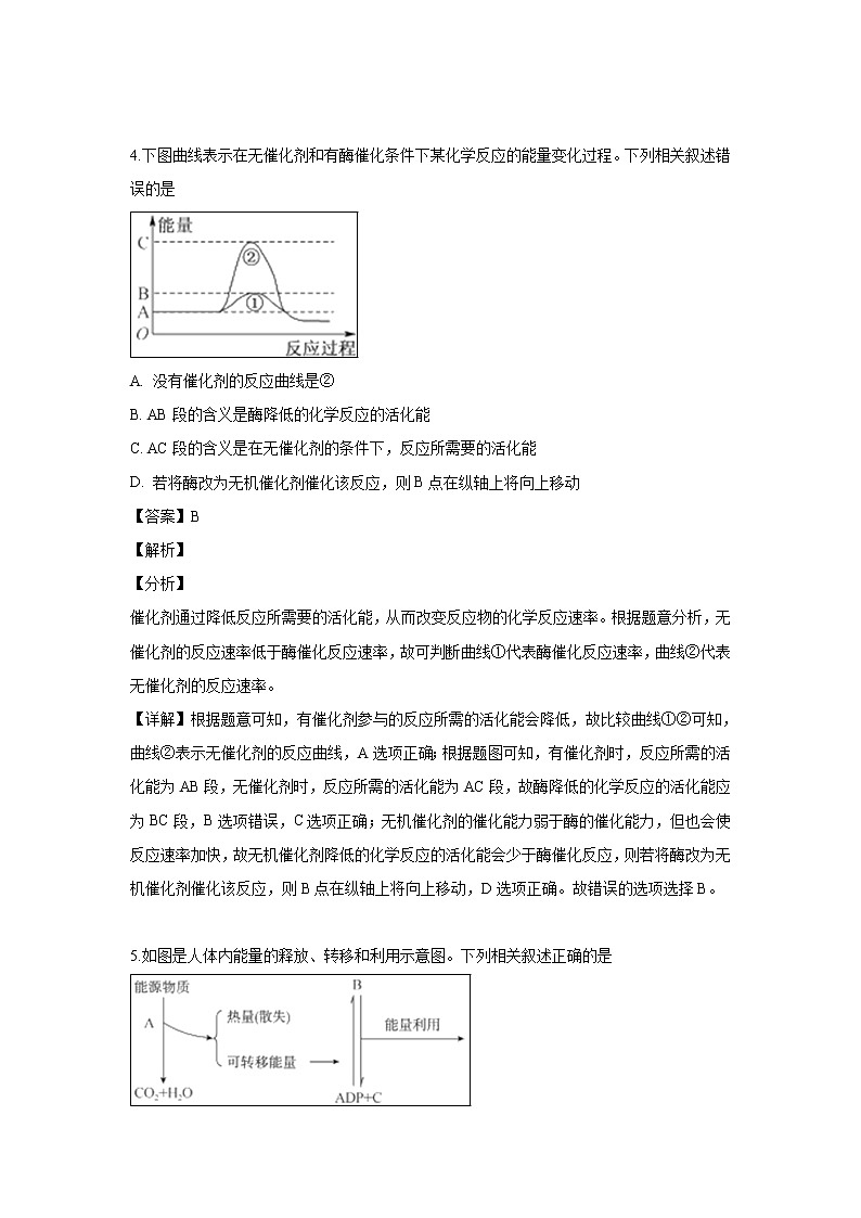 【生物】山西省忻州市忻府区第一中学校2018-2019学年高二下学期期中考试试题（解析版）03
