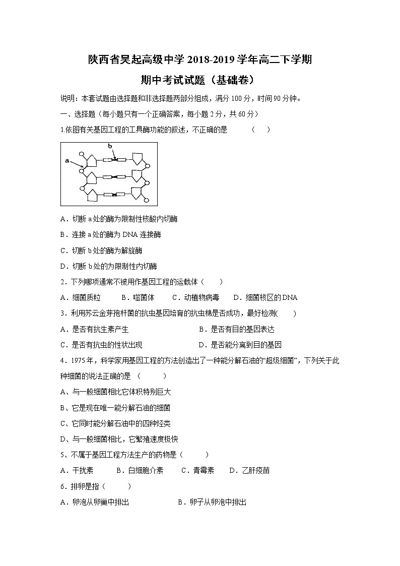 【生物】陕西省吴起高级中学2018-2019学年高二下学期期中考试试题（基础卷）01