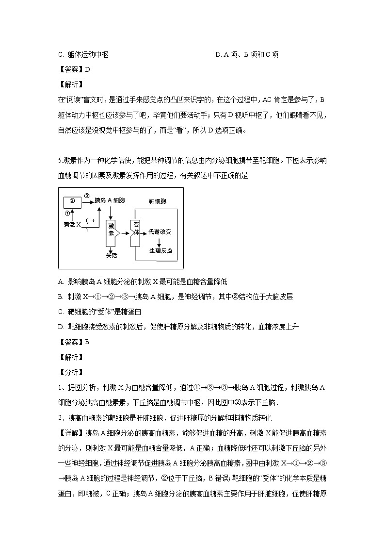 【生物】吉林省白山市七中2018-2019学年高二下学期期中考试试题（解析版）03
