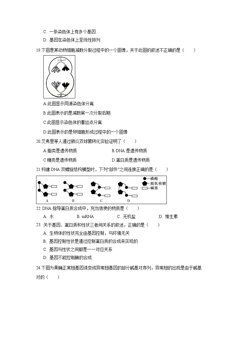 【生物】湖南省桃江县第一中学2018-2019学年高二下学期期中考试（文）试题03