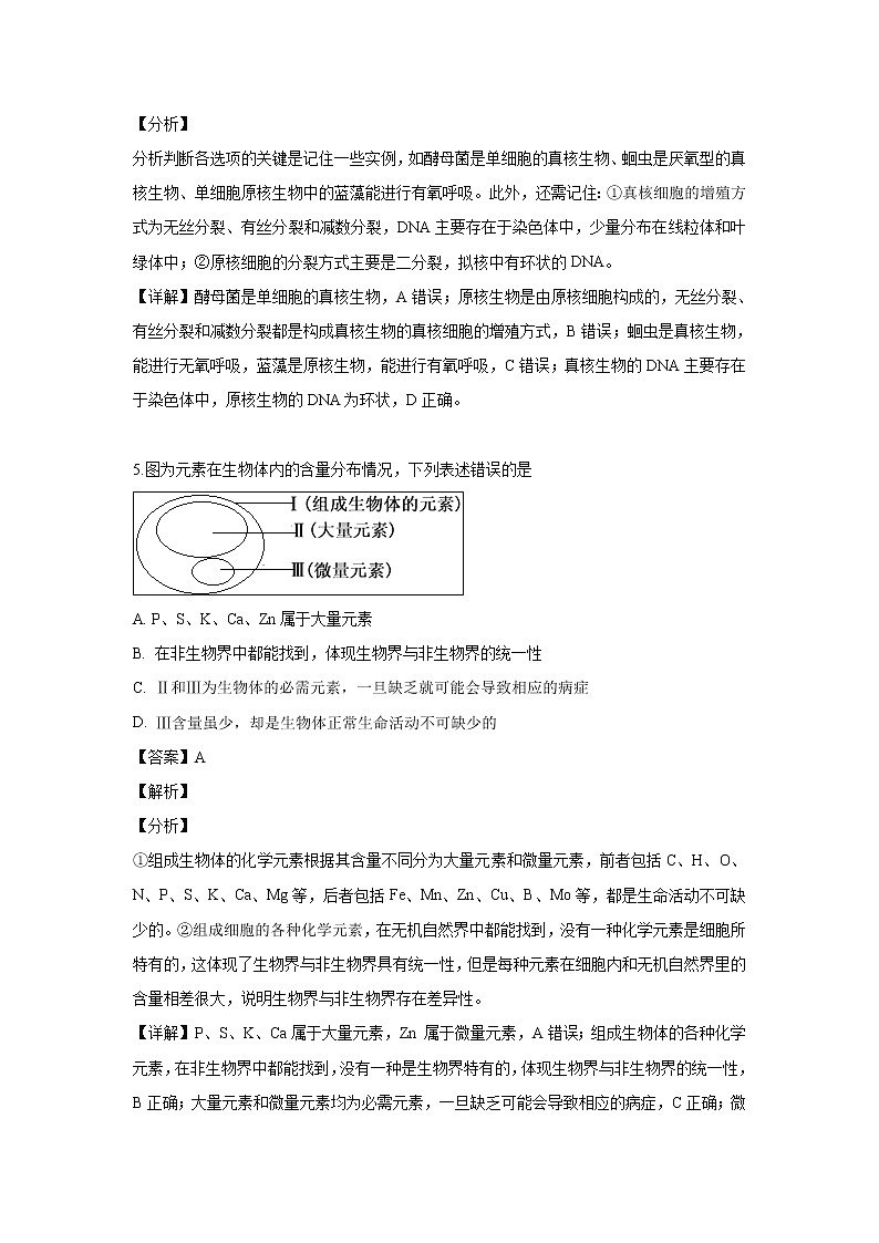 【生物】河北省沧州市2018-2019学年高二下学期期中考试试卷（解析版）03