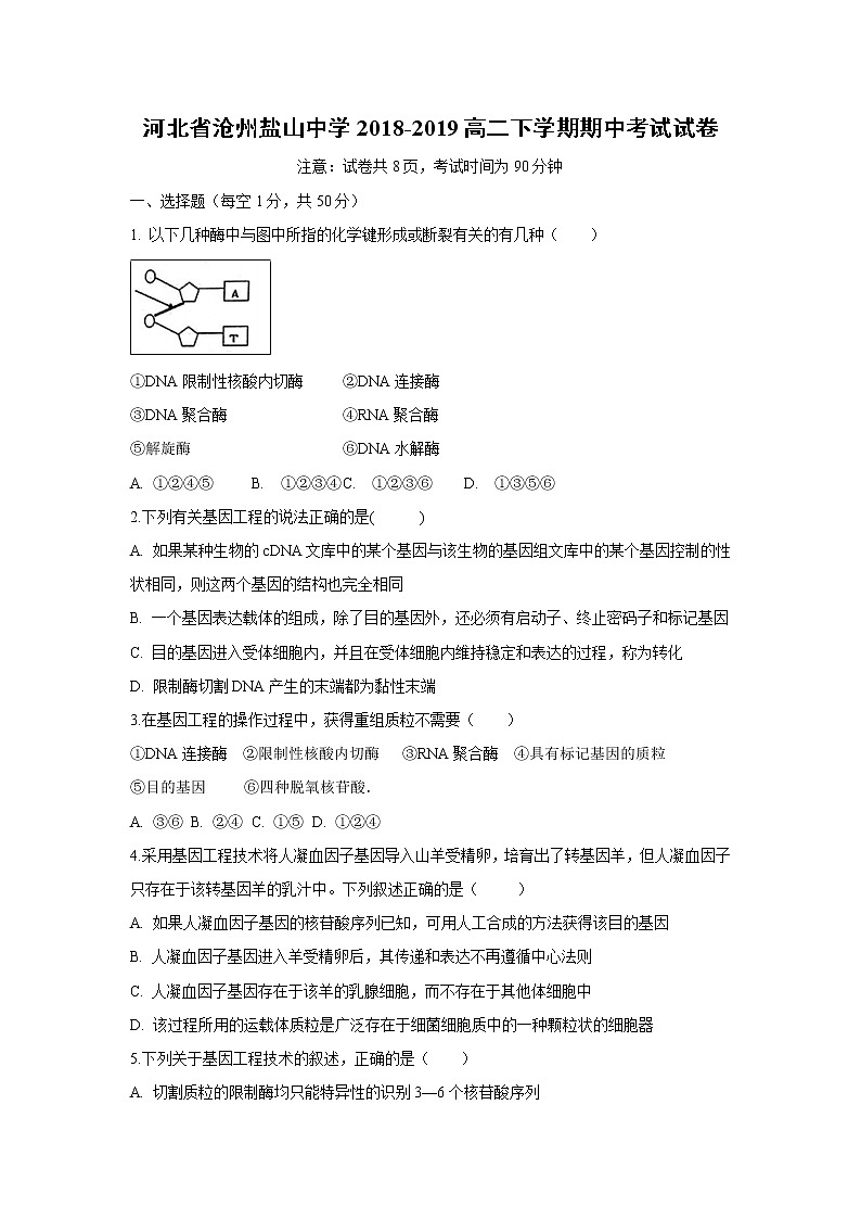 【生物】河北省沧州盐山中学2018-2019高二下学期期中考试试卷01