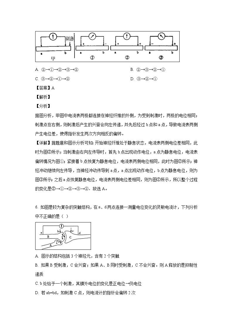 【生物】河北省唐山市开滦二中2018-2019学年高二下学期期中考试试卷 （解析版）第3页