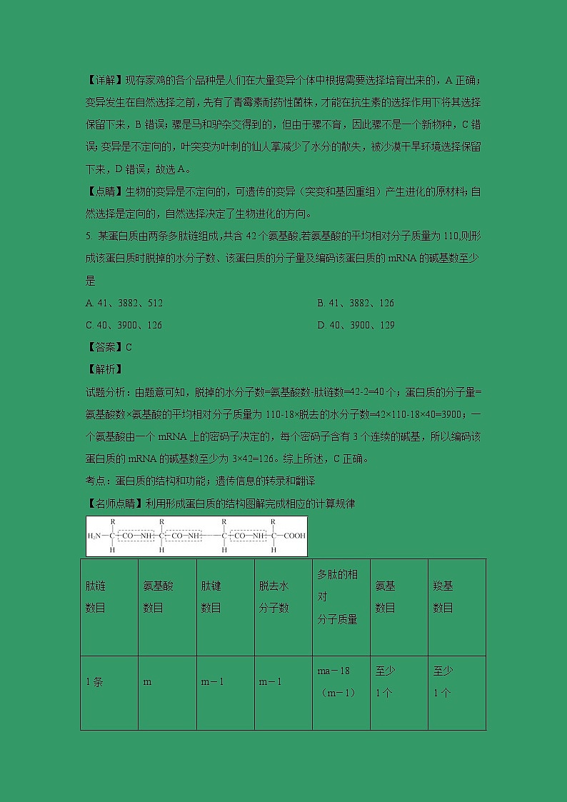 【生物】河南省平顶山市汝州市实验中学2018-2019学年高二下学期期中考试试题 （解析版）第3页